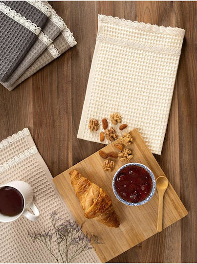 SteweHome Kitchen Towel Made of 100% Cotton in Brown Colour 40x60cm 5 Pieces