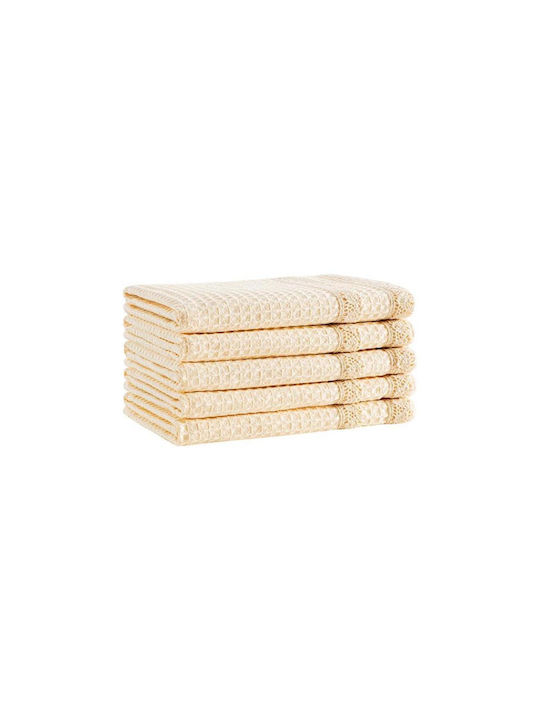 SteweHome Kitchen Towel Made of 100% Cotton in Beige Colour 40x60cm 5 Pieces