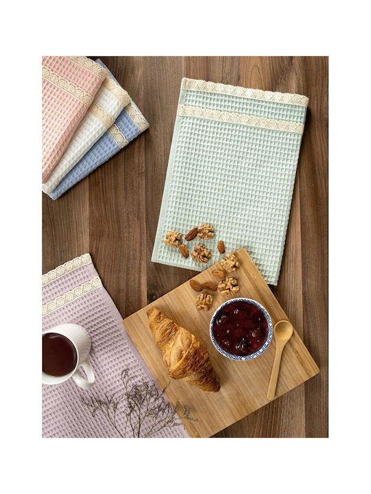 SteweHome Kitchen Towel Made of 100% Cotton in Blue Colour 40x60cm 5 Pieces