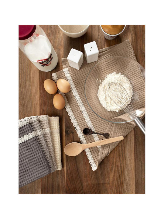 SteweHome Kitchen Towel Made of 100% Cotton in Brown Colour 40x60cm 5 Pieces
