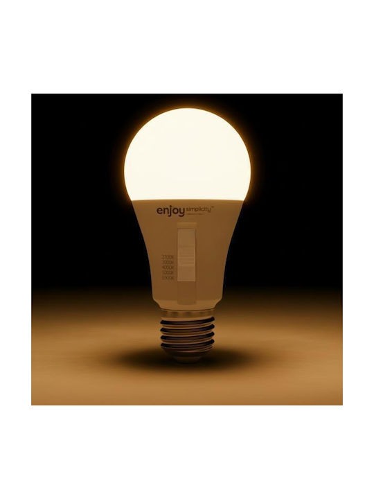 Elvhx LED Spot with 10 Lights