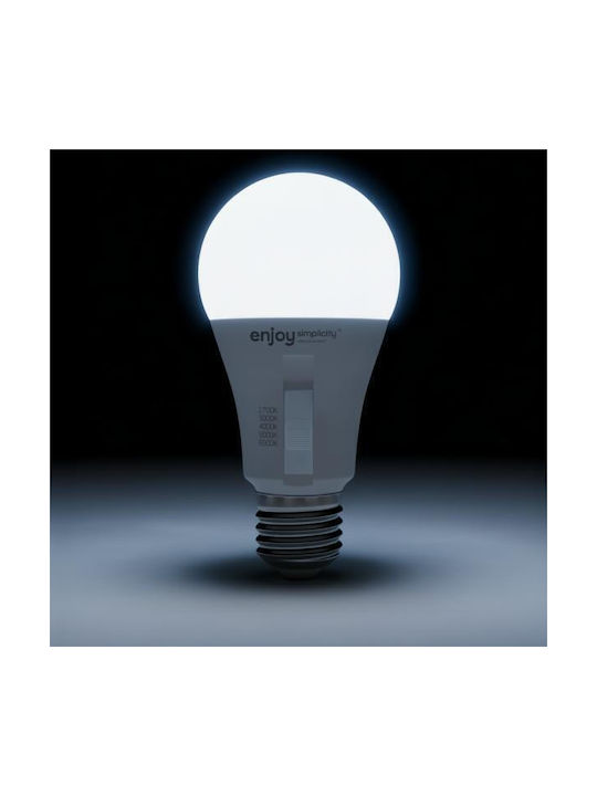Elvhx LED Spot with 10 Lights