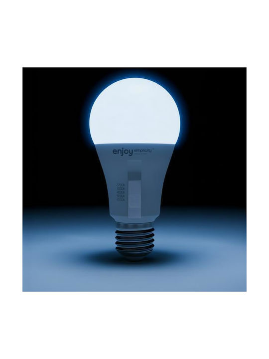 Elvhx LED Spot with 10 Lights