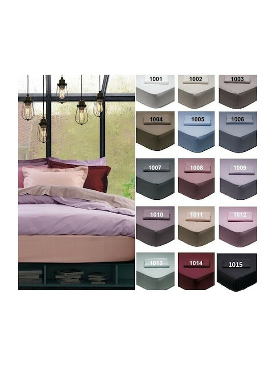 Das Home Sheet for Single Bed with Elastic 100x200+35cm. Best 1014 Bordeaux