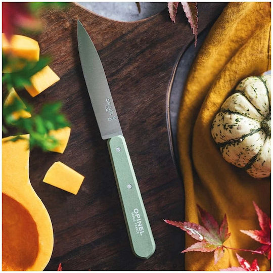 Opinel No 112 Peeling Knife from Stainless Steel