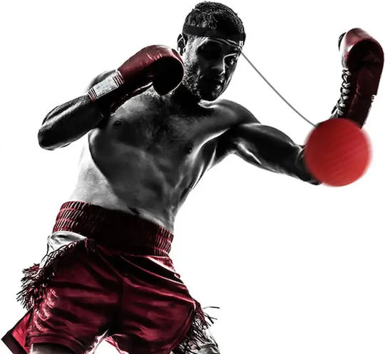 Reflex Fight Ball Топки Reflex Боксови Аксесоари