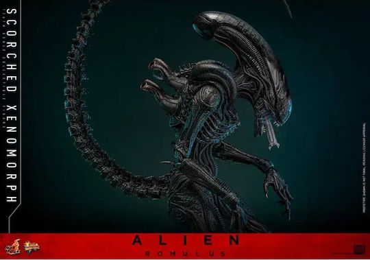 Hot Toys Alien Romulus Verbrennener Xenomorph Action-Figur in Maßstab 1:6
