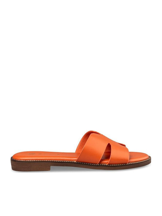Envie Shoes