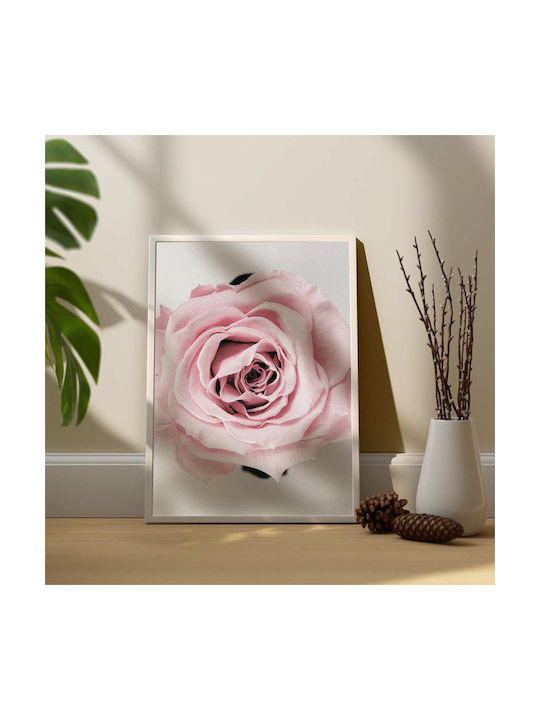 Poster Rose Pst2521 40cm X 50cm Premium Black Wooden Frame