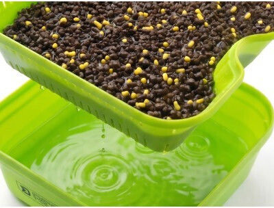 Pellet Soaking Box Delphin Reaxe Bst 17.5 × 17.5 × 6.5 Cm 1.8 Liters