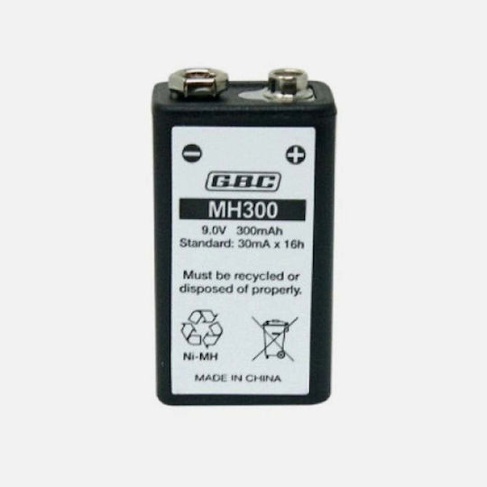SKB Επαναφορτιζόμενη Μπαταρία 9V Ni-MH 300mAh 1τμχ