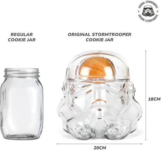 Glass Transparent Vase