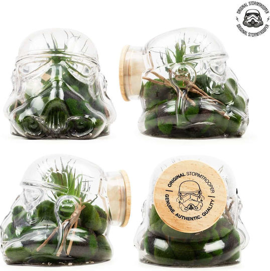 Decorative Transparent Glass Vase