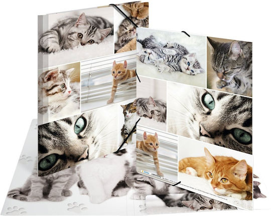 Herma A4 Katzen Themen Klemmbrett – Pappe – Elastische Riemen – 3 Klappen