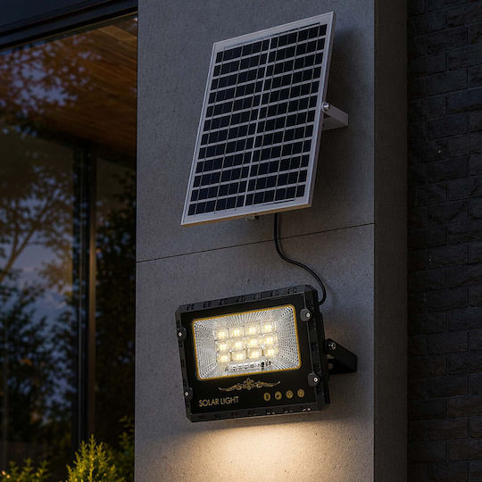 Avizar Outdoor Led Solar Projector 9000k Automatic Detection Black