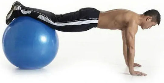 14172 Μπάλα Pilates 65cm σε Ασημί Χρώμα
