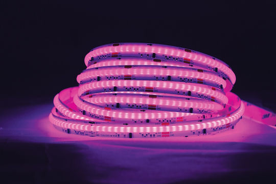 VK Lighting Waterproof 24V RGB Light 10m COB Type LED Strip