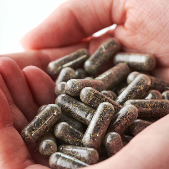 Kiki Health Organic Sea Moss 500mg 90 φυτικές κάψουλες