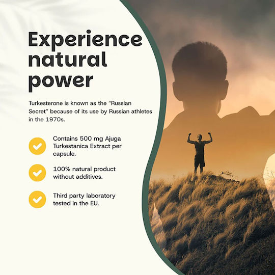 Cupplement Turkesterone Extract 500mg 60 κάψουλες