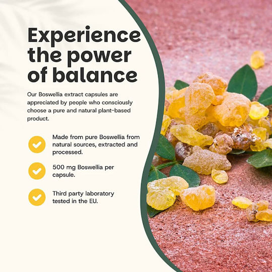 Cupplement Boswellia Extract 500mg 60 caps