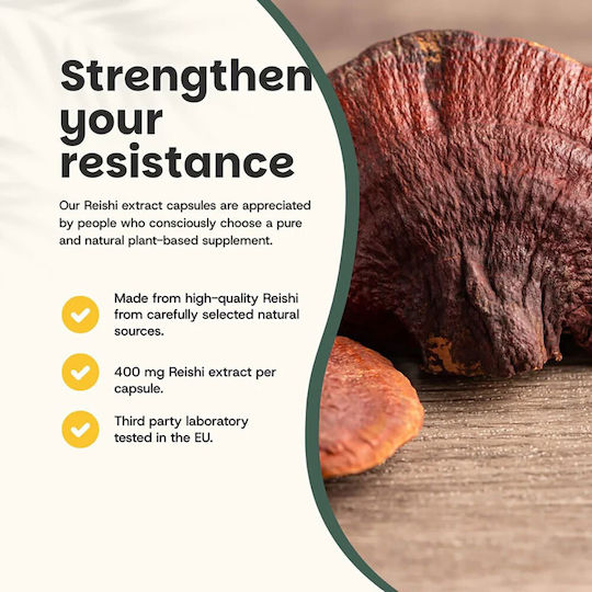 Cupplement Organic Reishi Extract 400mg 60 κάψουλες