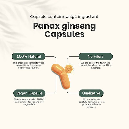 Cupplement Panax Ginseng Extract 500mg 60 κάψουλες