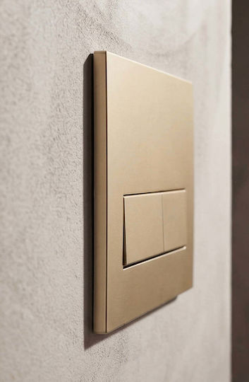 Naron Flush Plate for Dual Flush Toilets BRUSHED GOLD