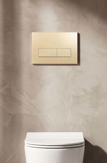 Naron Flush Plate for Dual Flush Toilets BRUSHED GOLD