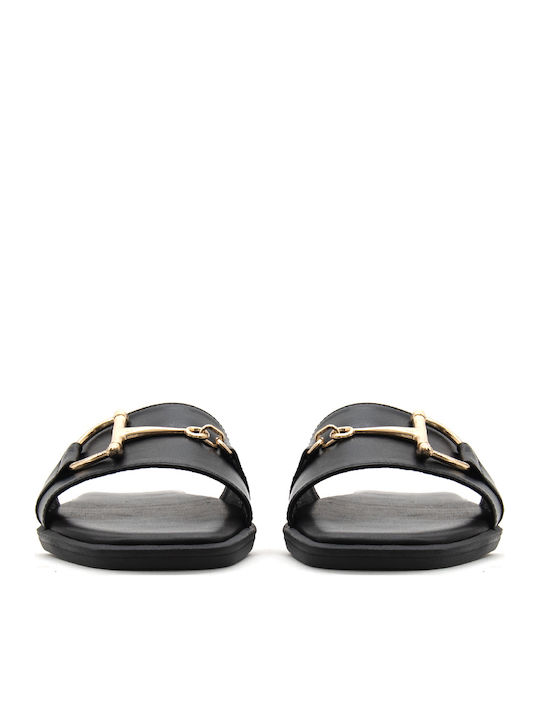 Bacali Collection