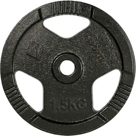 inSPORTline Metal Plate 1 x 1.25kg Φ30mm with Handles