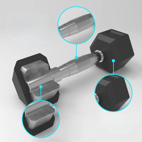 inSPORTline Hexagon Dumbbell 1 x 25kg