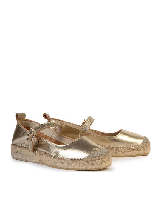 Fabiolas Collection