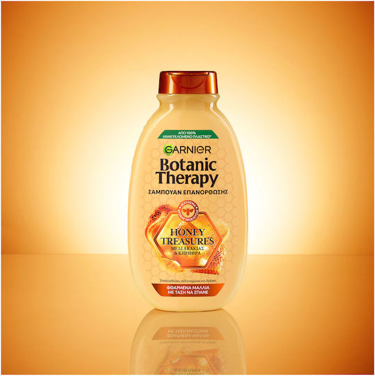 Garnier Botanic Therapy Honey Treasures Seturi Pentru Par cu Șampon și Mască 2 Bucăți