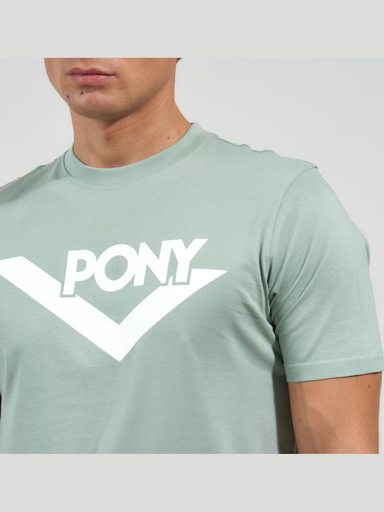 Pony