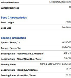 Saatgut Festuca Arundinacea Kora 1kg