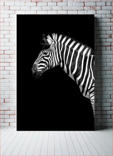 Zebra In Black And White Zebra In Black And White Zebra In Black And White Zebra In Black And White