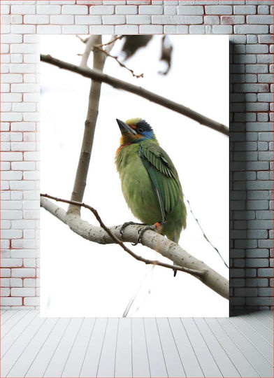 Πίνακας Colorful Bird On A Branch Πολύχρωμο Πουλί Ένα Κλαδί 70x100 Πίνακας Colorful Bird On A Branch Πολύχρωμο Πουλί Ένα Κλαδί 70x100