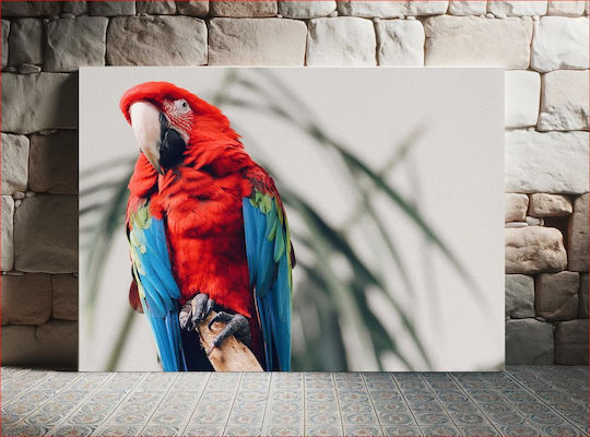 Colorful Parrot On A Branch Πολύχρωμος Παπαγάλος Σε Ένα Κλαδί 1 Colorful Parrot On A Branch Πολύχρωμος Παπαγάλος Σε Ένα Κλαδί 1