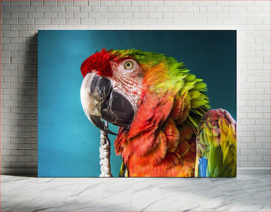 Colorful Parrot Close-up Πολύχρωμο Παπαγάλος Κινηματογράφηση Σε Πρώτο Πλάνο 1 Colorful Parrot Close-up Πολύχρωμο Παπαγάλος Κινηματογράφηση Σε Πρώτο Πλάνο 1
