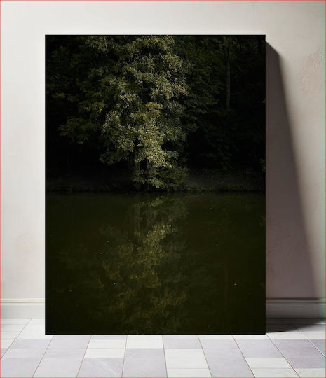 Reflection Of Tree In Water Αντανάκλαση Του Δέντρου Στο Νερό σε Καμβά