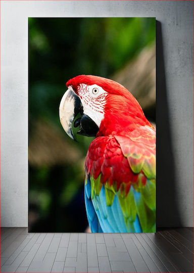 Πίνακας Colorful Parrot In Natural Habitat Πολύχρωμος Παπαγάλος Φυσικό Βιότοπο 70x100 Πίνακας Colorful Parrot In Natural Habitat Πολύχρωμος Παπαγάλος Φυσικό Βιότοπο 70x100