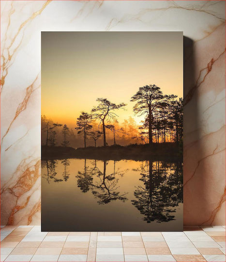 Sunset Reflection Of Trees Ηλιοβασίλεμα Αντανάκλαση Των Δέντρων