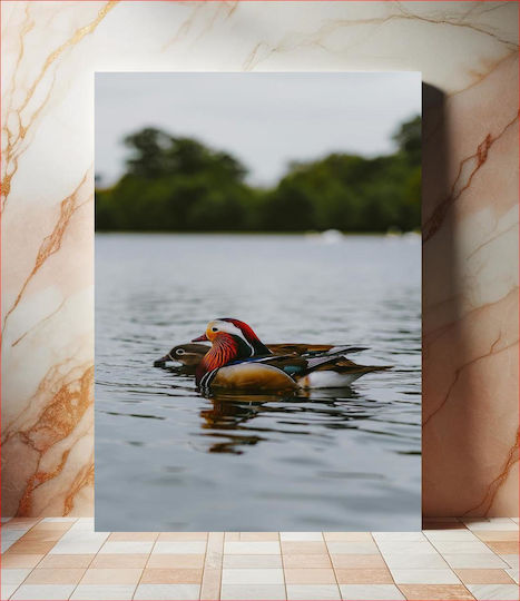 Colorful Ducks On A Lake Canvas