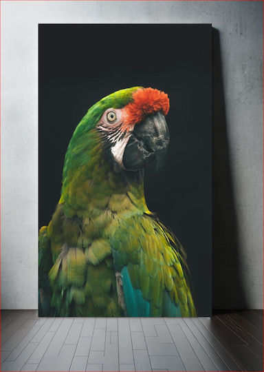 Πίνακας Colorful Parrot Πολύχρωμος Παπαγάλος 100x150 Πίνακας Colorful Parrot Πολύχρωμος Παπαγάλος 100x150