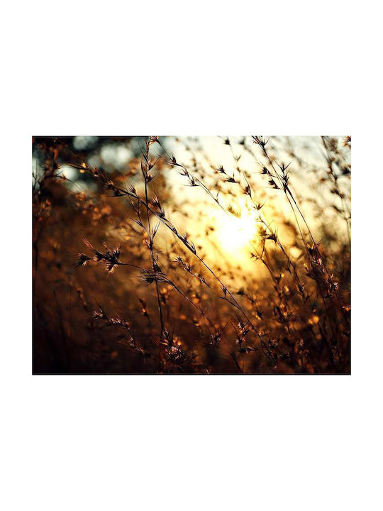 Poster Golden Sunlight Pst25121 40cm X 50cm Premium Μαύρο Ξύλινο Κάδρο