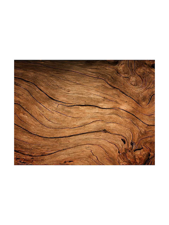 Poster Wooden Surface Pst25105 40cm X 50cm Premium Black Wooden Frame