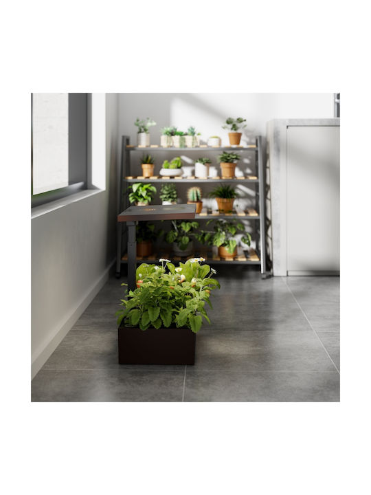 Brateck Flower Pot Black / Brown 40.6x26x35.9cm