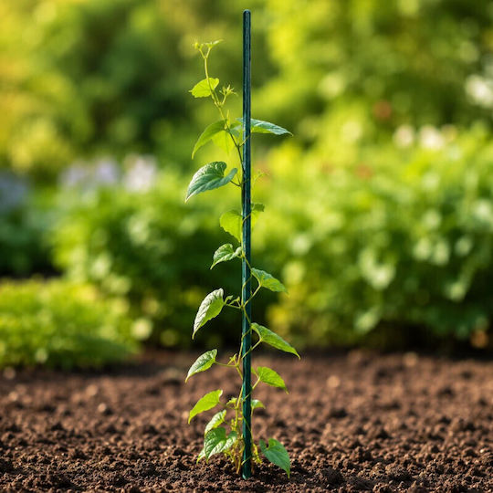 Araci Si Suporturi Plante Lungime 90 Cm Diametru 11 Mm Set 25 Bucăți
