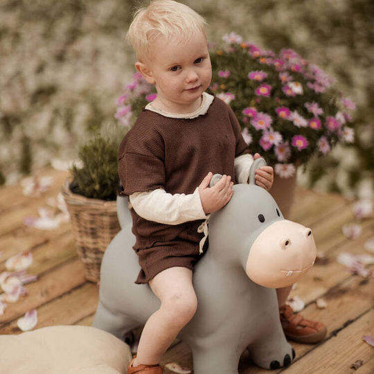 Find that Hippo Hoppers Hippopotamus for 2+ Years Gray 60cm