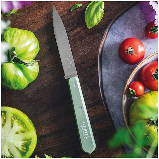 Opinel No 113 Μαχαίρι Γενικής Χρήσης από Ανοξείδωτο Ατσάλι 10cm